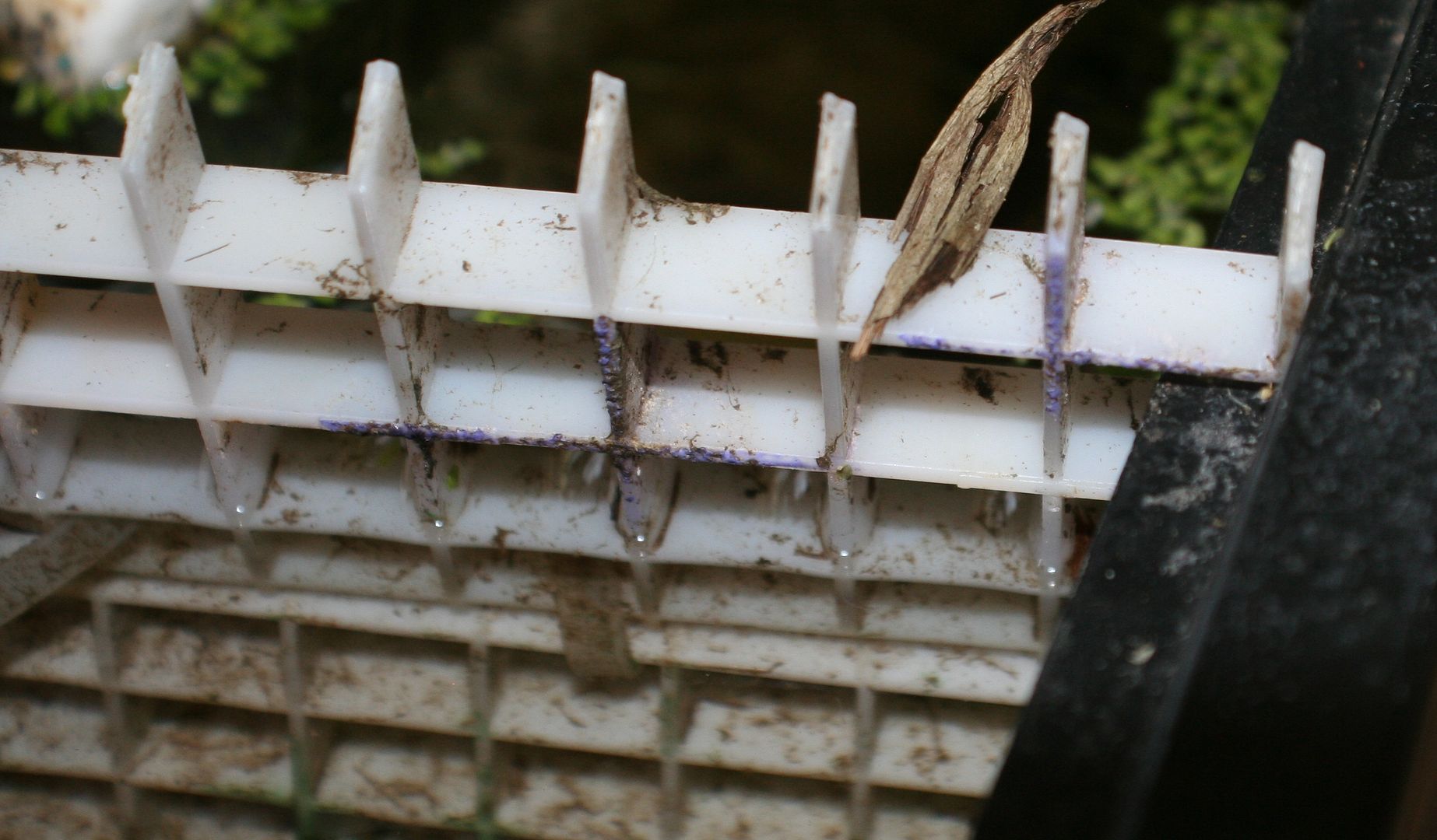 Tank dividers for 75 gallon?